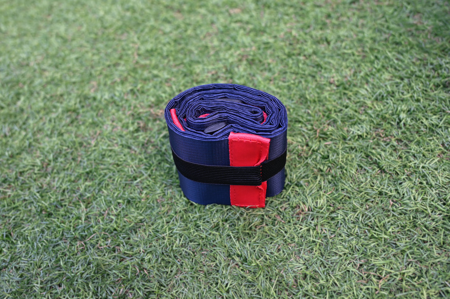 35th Anniversary Special Edition: Accordion Folding Bag - New!