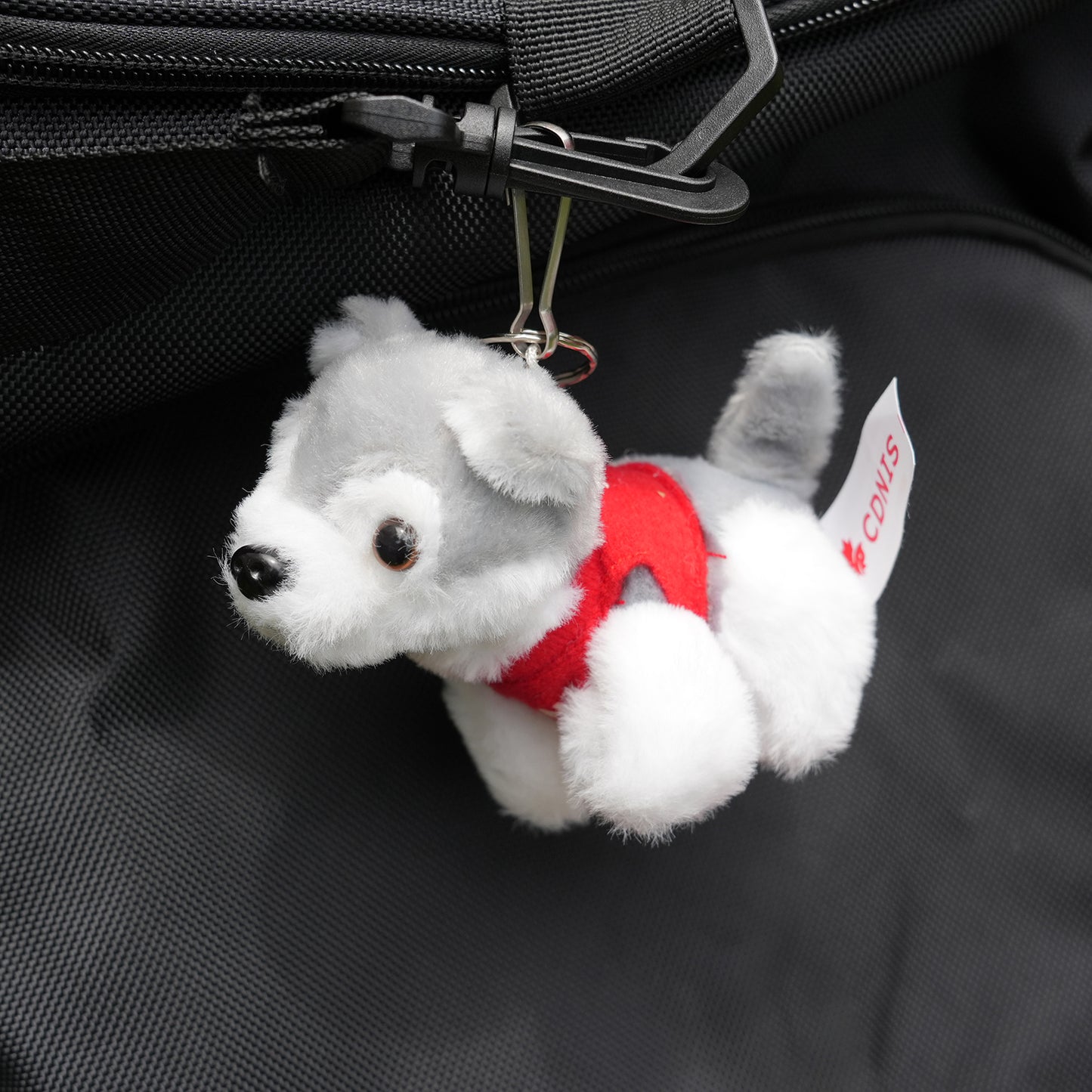 Timba Bag Tag