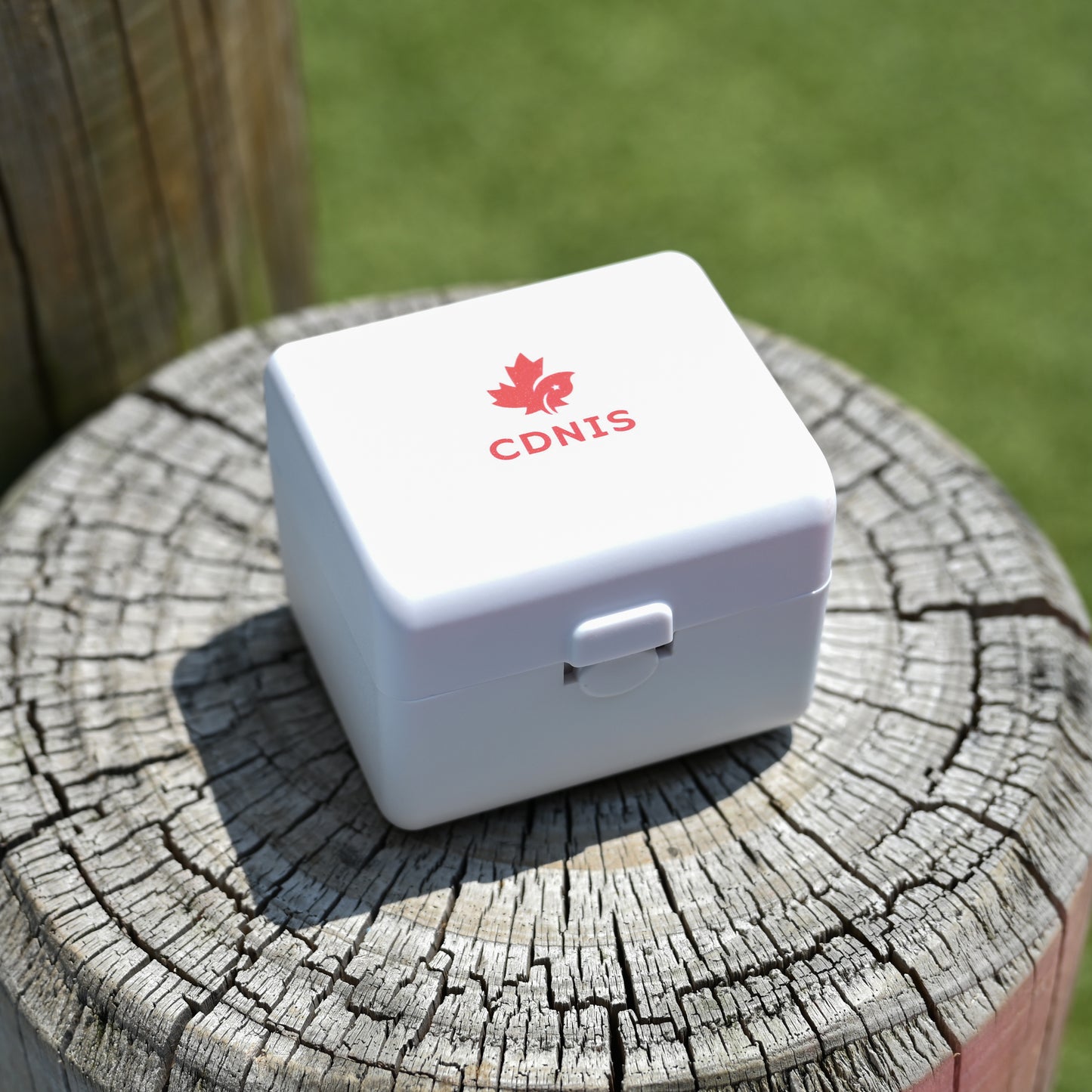 CDNIS Travel Adaptor