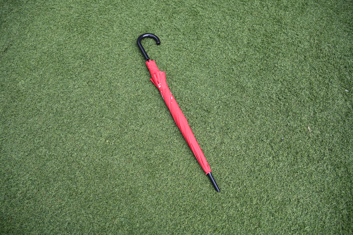 CDNIS Hook-Handle Umbrella
