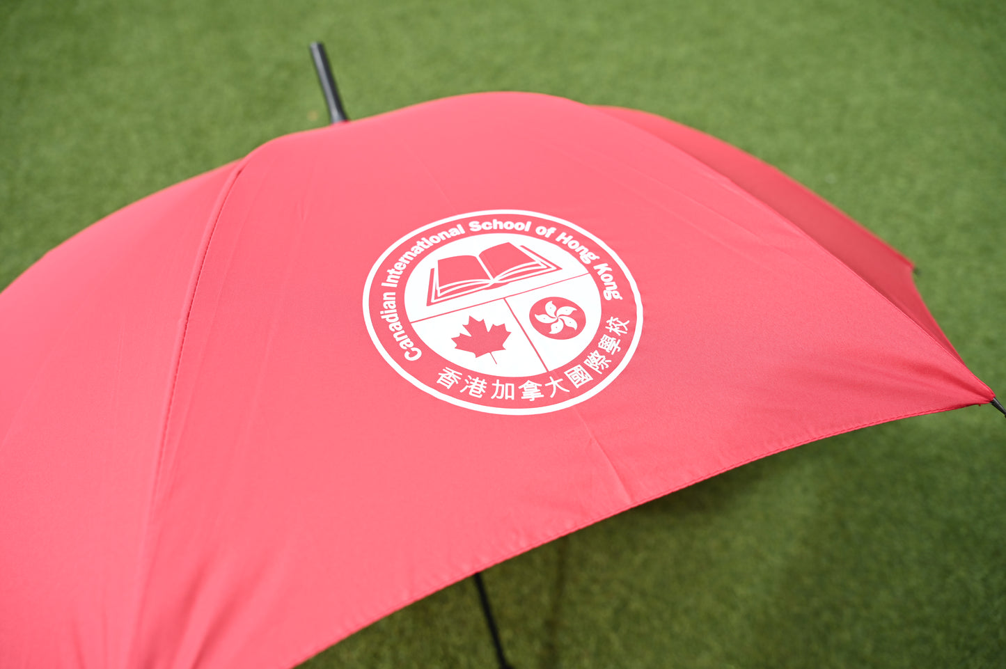 CDNIS Hook-Handle Umbrella