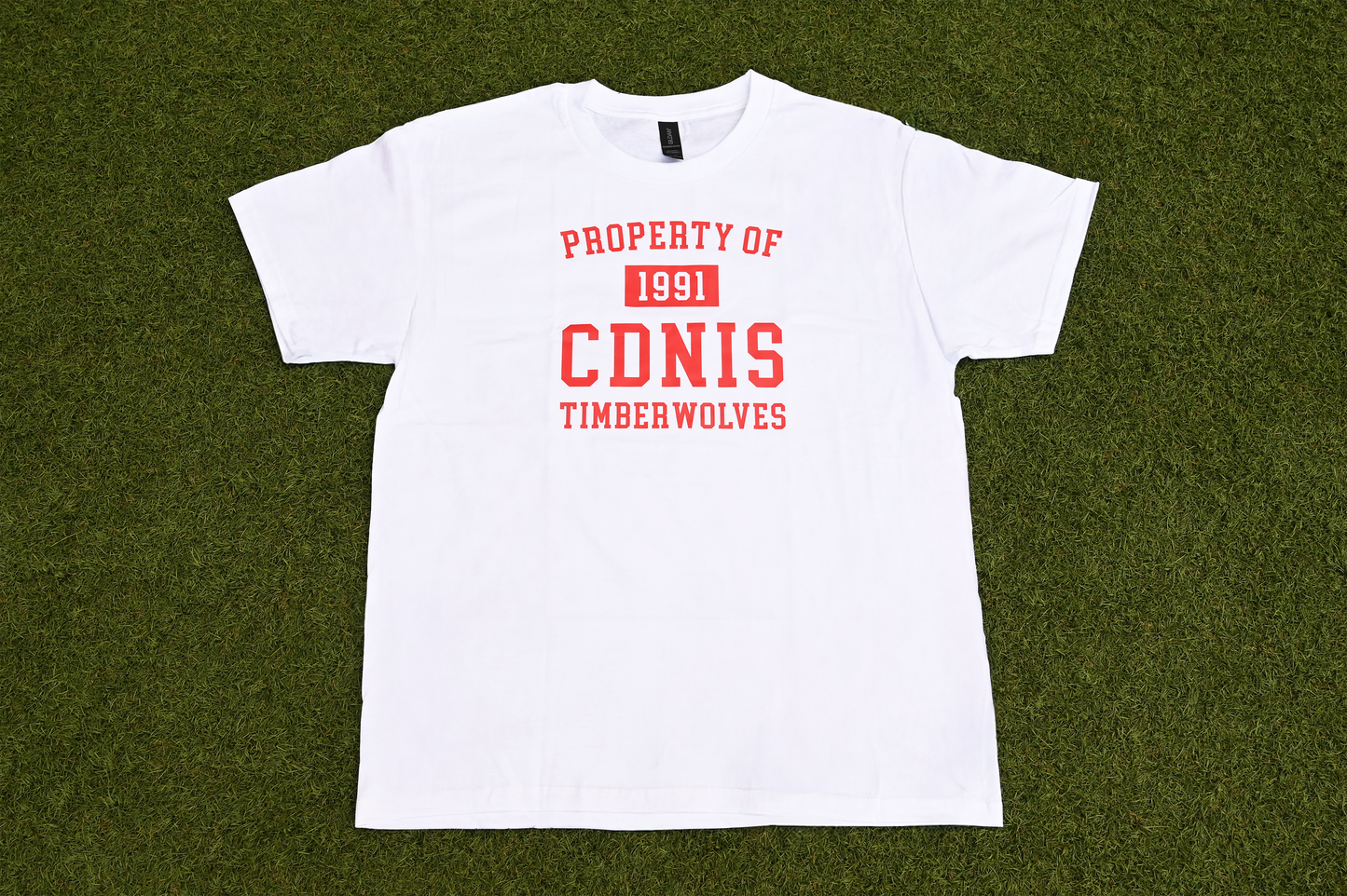 Property of 1991 CDNIS Timberwolves Tee