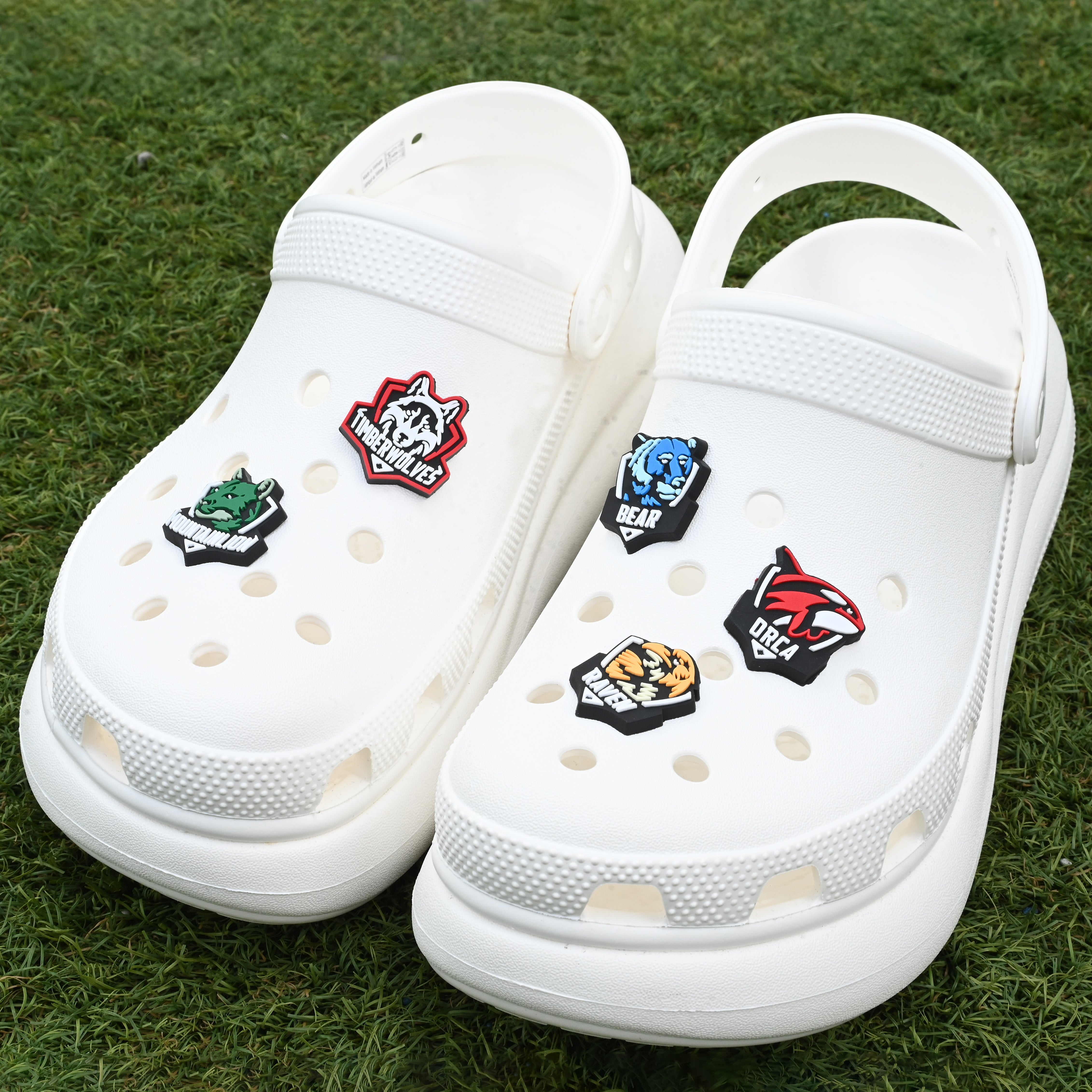 Timberwolves or House Logo Charm for Crocs – The Timba Shop