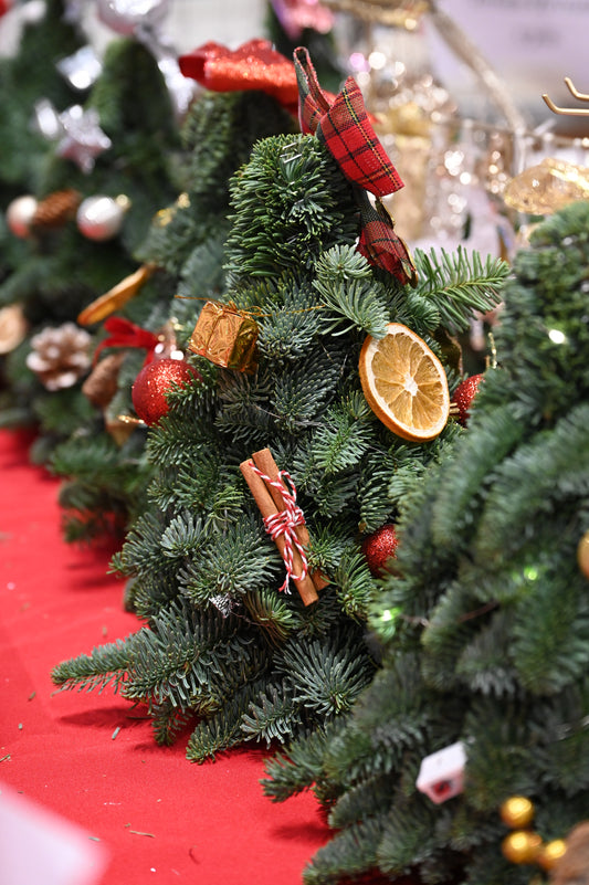 CDNIS Scandinavian Christmas Tree and Wreath