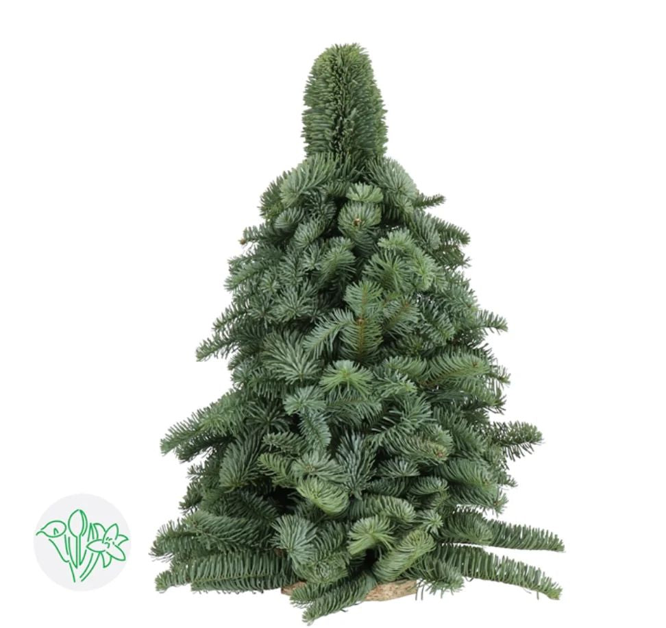 Mini Christmas Tree DIY set, 30cm tall