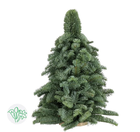 Mini Christmas Tree DIY set, 30cm tall