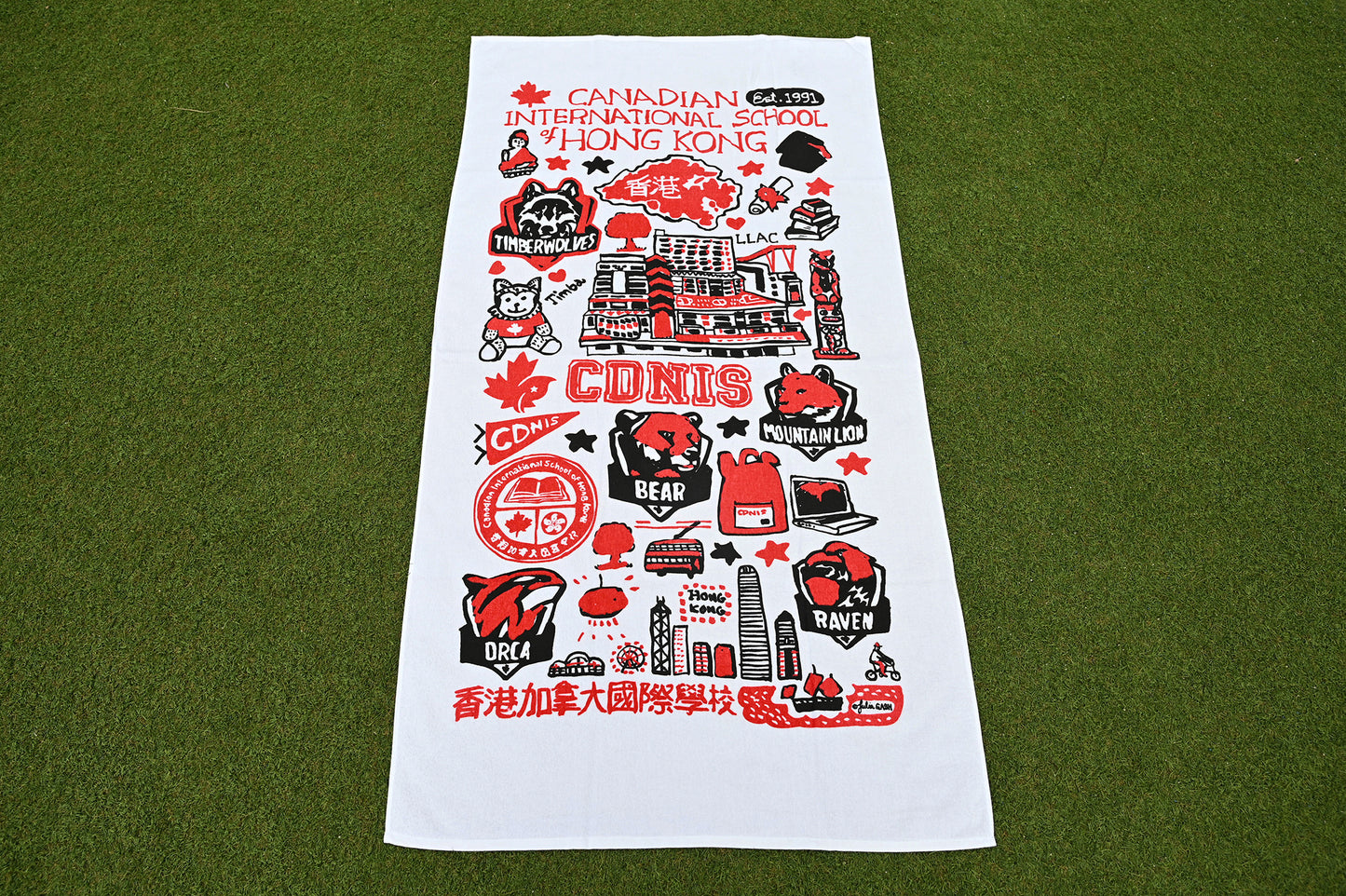 Julia Gash Terry Beach Towel
