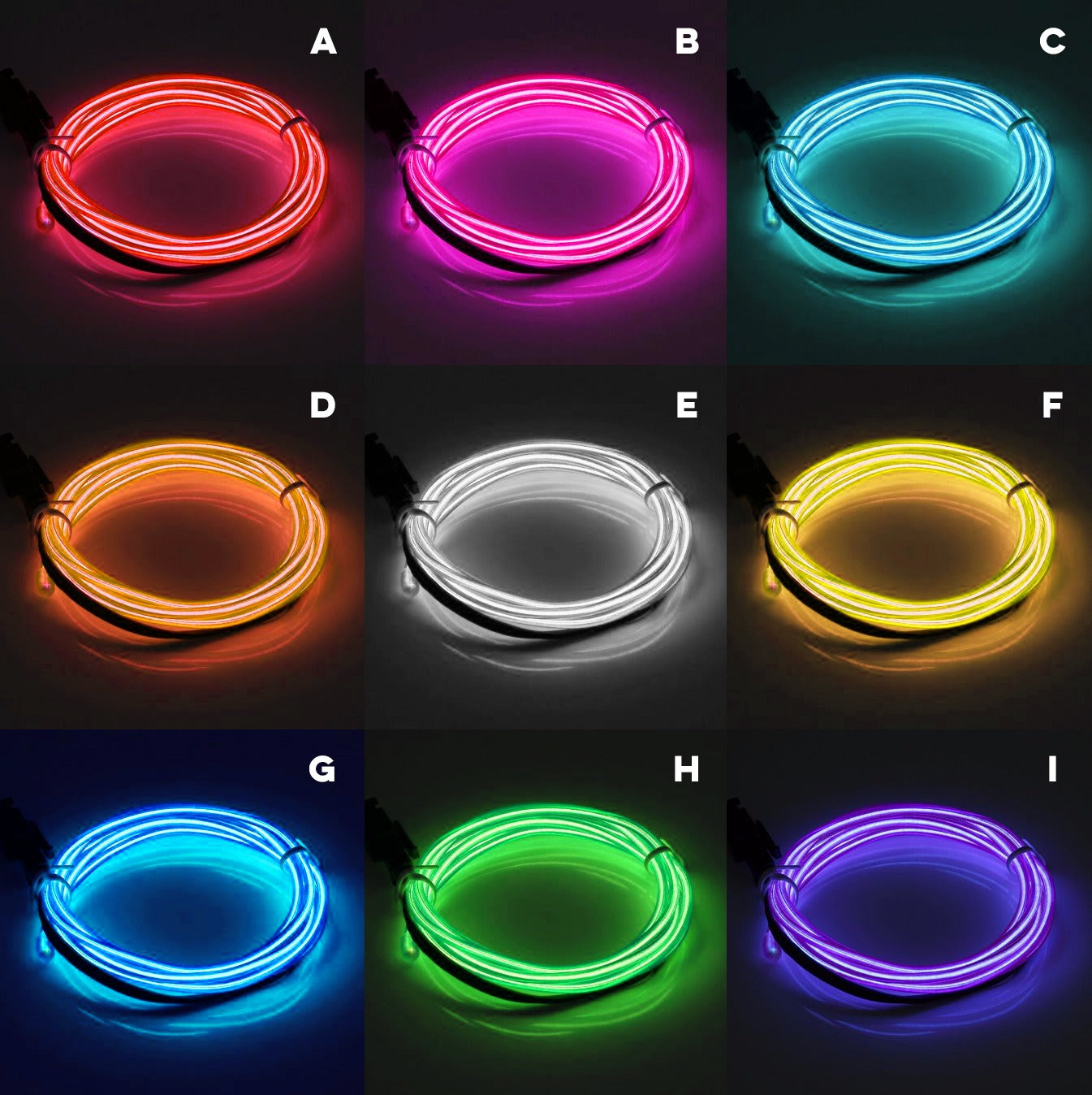 Glow Up! CDNIS X Neon Light Workshop