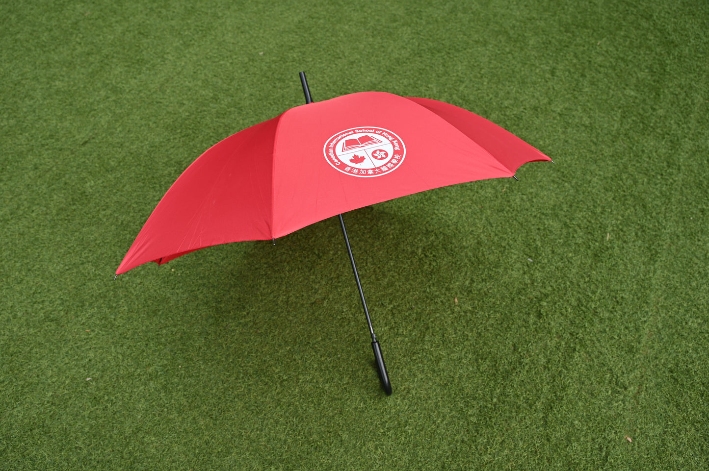 Hook-Handle Umbrella